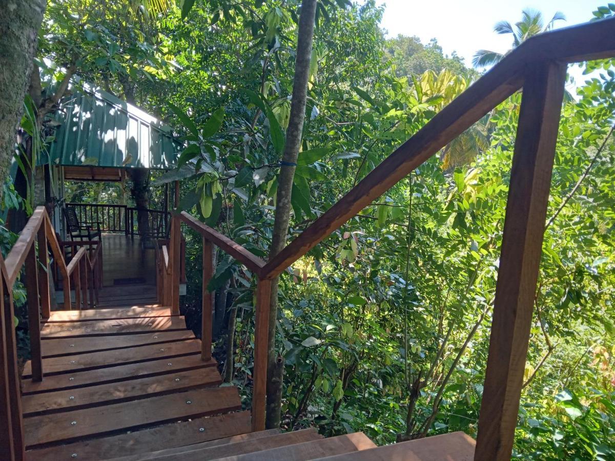 Cinnamon View Lodge Mirissa Buitenkant foto