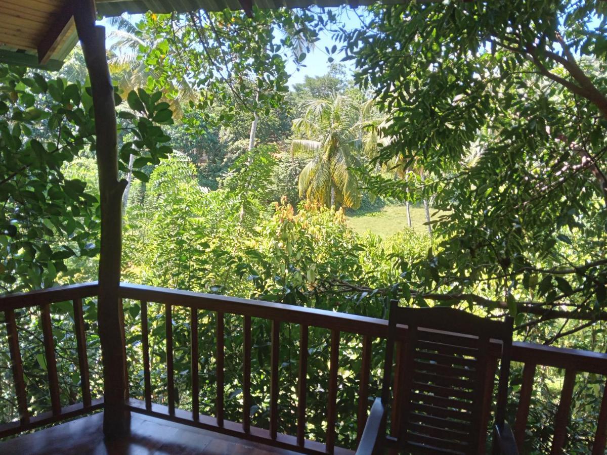Cinnamon View Lodge Mirissa Buitenkant foto