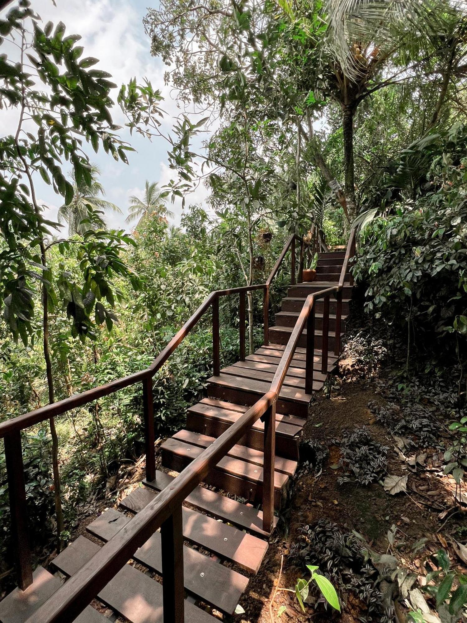 Cinnamon View Lodge Mirissa Kamer foto